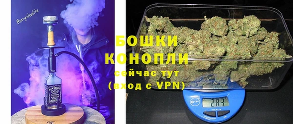 стаф Абдулино