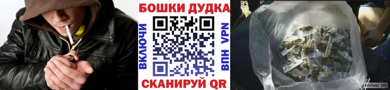Бошки Шишки THC 21%  купить закладку  Заринск 